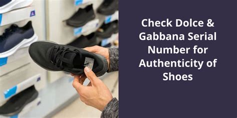 dolce and gabbana authenticity check online